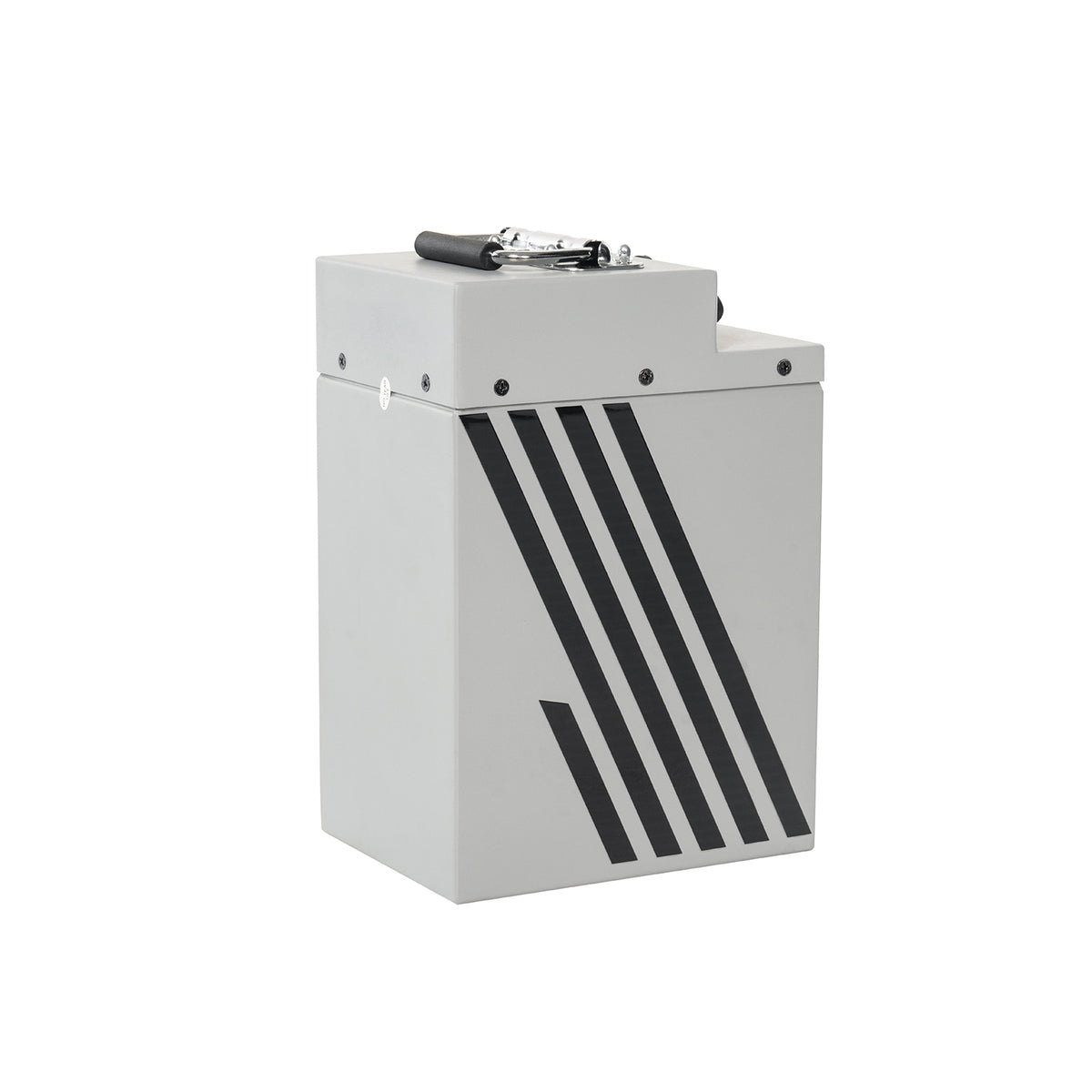 MUDLIZ M6000 60V 25Ah Battery(Powered by LG Cells)